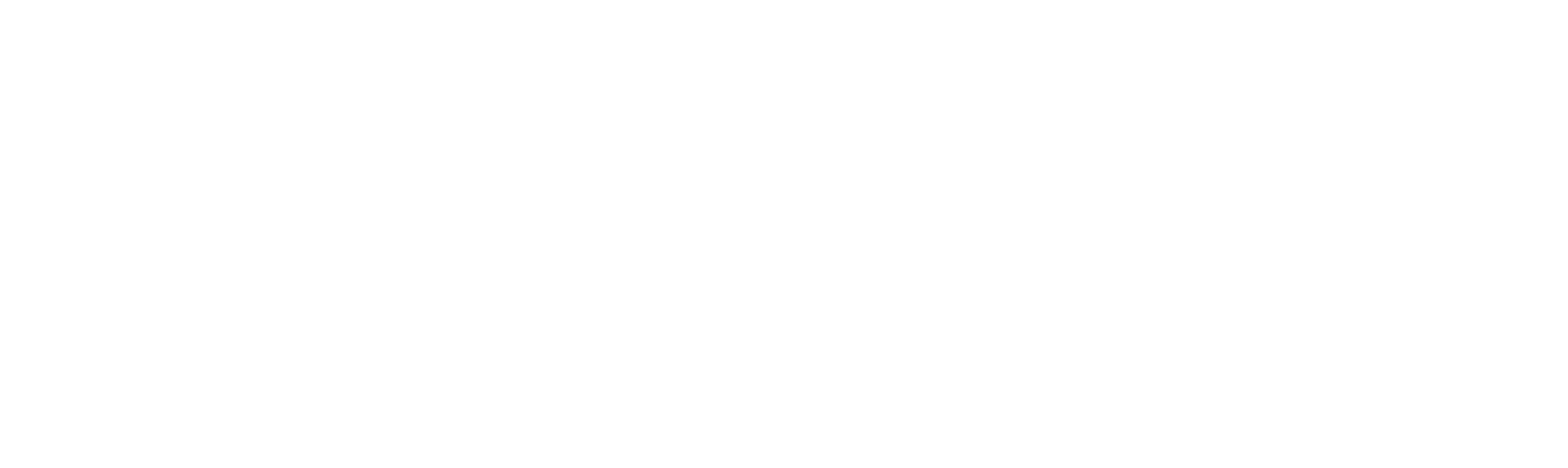 Chief Healthcare Executive