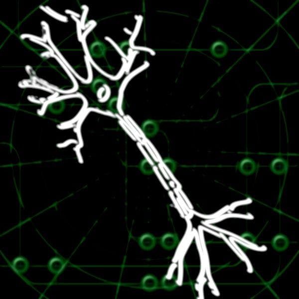 Stanford Researchers Build Artificial Neuron in Effort to Mimic Skin