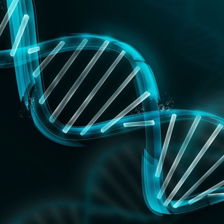 Medical Genome Initiative Launched by Top Healthcare and Research Orgs 