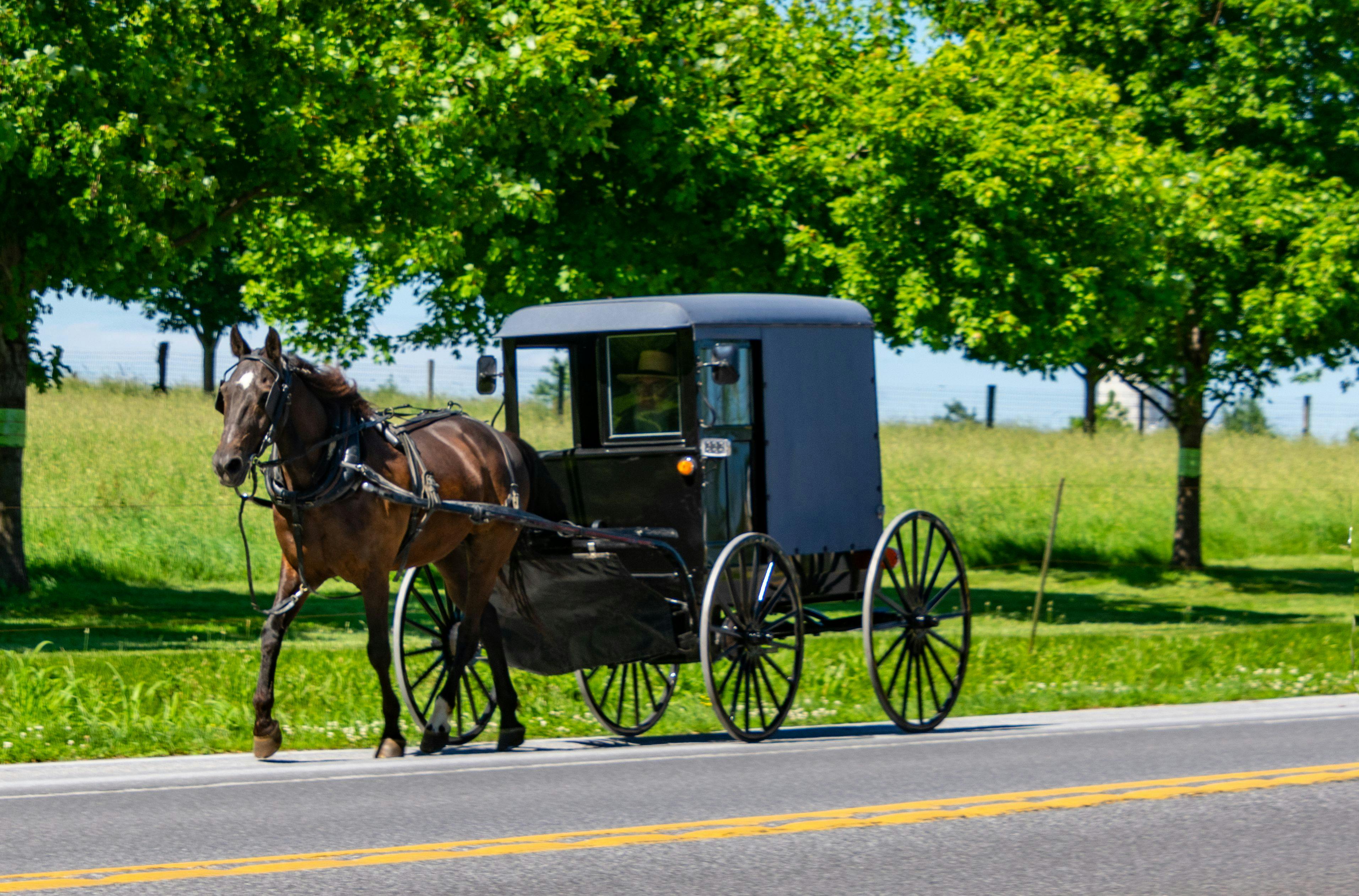 An Amish buggy travels in Lancaster County, Pennsylvania. (Adobe stock)