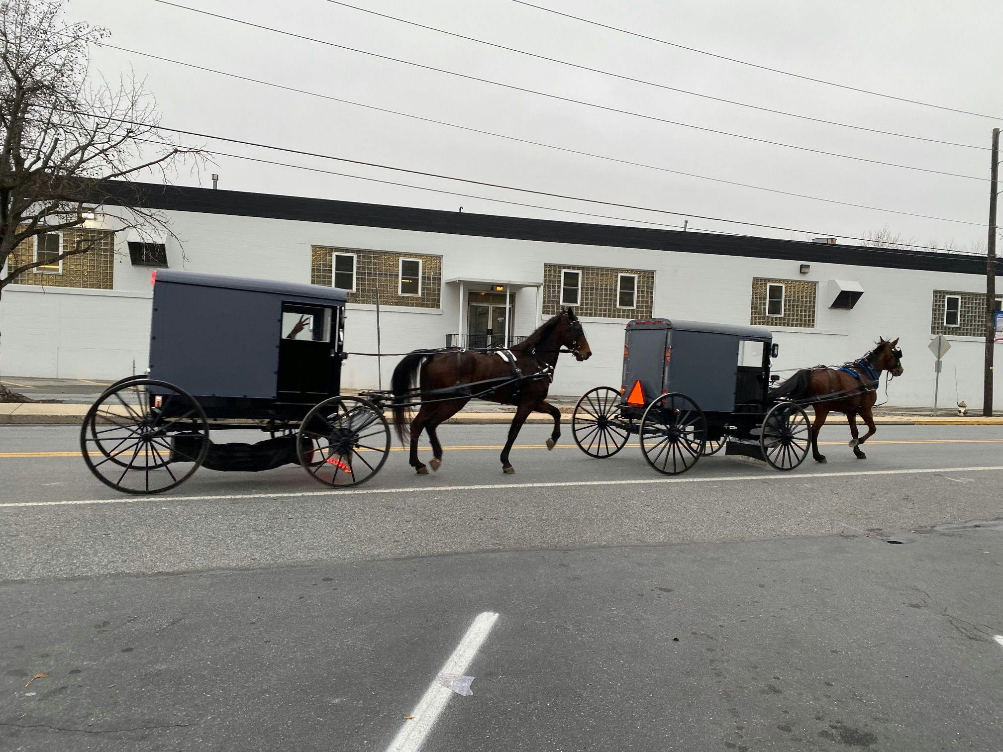 The Amish and healthcare: WellSpan Health connects with trust and humility