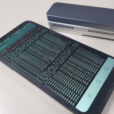 Analyzing Genomes with a Smartphone