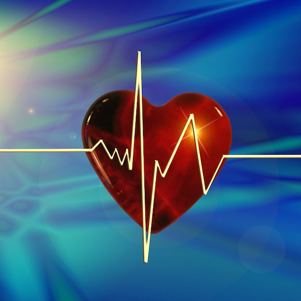 AI Model IDs Congestive Heart Failure from Single Heartbeat