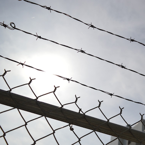 How HarrisLogic Helped Net $30 Million Through Mental Health Jail Diversion with SAP Data Solutions