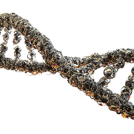 ssDNA Service Launched for CRISPR-Based Gene Editing