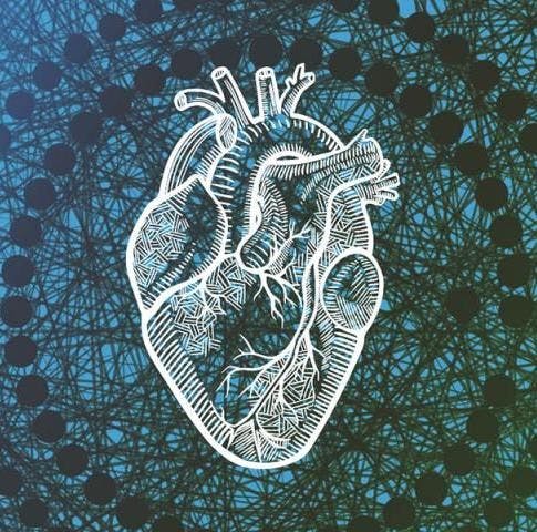 UCLA Researchers Develop a Better Heart Failure Algorithm