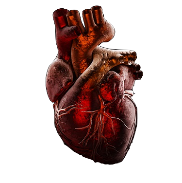 Examining the Hacking Threat to Heart Implants